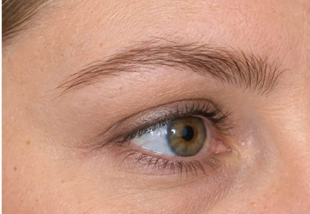Eyebrows after